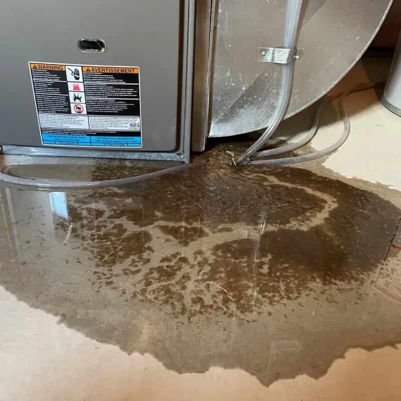 Appliance Leak Cleanup in Fishers, IN