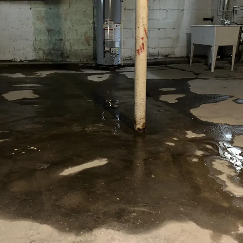 Emergency Water Extraction And Removal in Fishers, IN